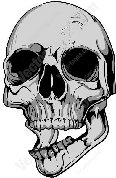 Gray Skull With Lower Jaw Askew Skulls Drawing Skull Illustration Skull