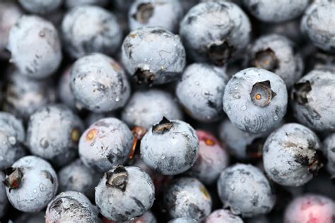 There are 16 ounces in 1 pound, so 1 1/3 pints of blueberries are in 1 pound. How Many Calories Are in Blueberries? | Healthfully