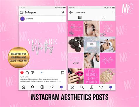 Instagram Aesthetics Posts Ready To Post Editable Posts Etsy
