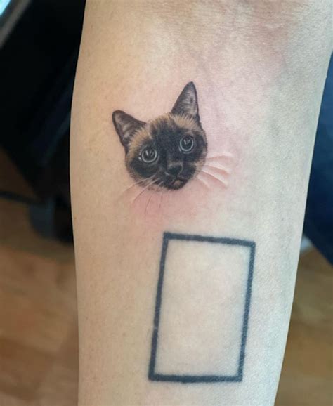 Share More Than 81 Tuxedo Cat Tattoo Ineteachers