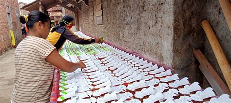 Plastik grafting okulasi cangkok sambung pucuk grafting tape. Kampung Karanganyar Setia Memproduksi Mainan Tradisonal ...