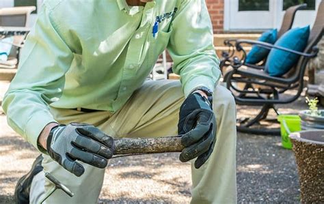 However, our processes will not reach our clients without our capable workers. Green Pest & Termite Control Services In Nashville ...