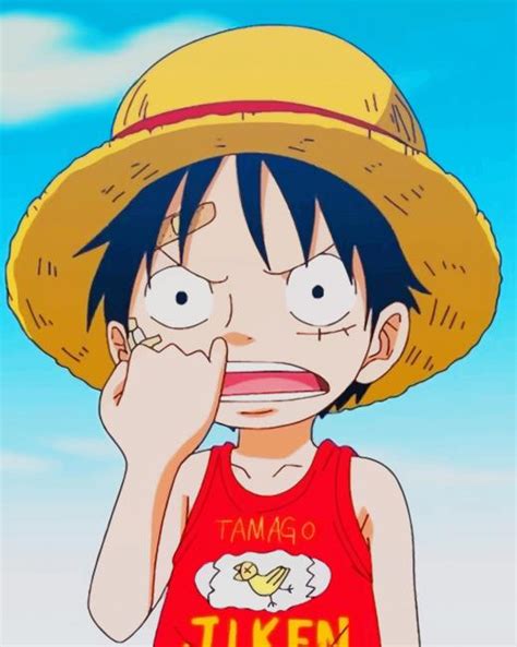 Young Monkey D Luffy New Paint By Numbers Numeral Paint Kit
