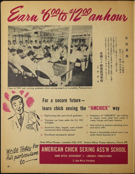 advertisement for a chick sexing school from sce… en ddr densho 266 20 30 1 primary sources