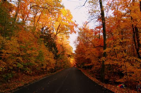 Best Places For Fall Foliage In New England Boston