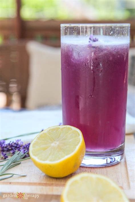 Refreshing Sparkling Lavender Lemonade Recipe
