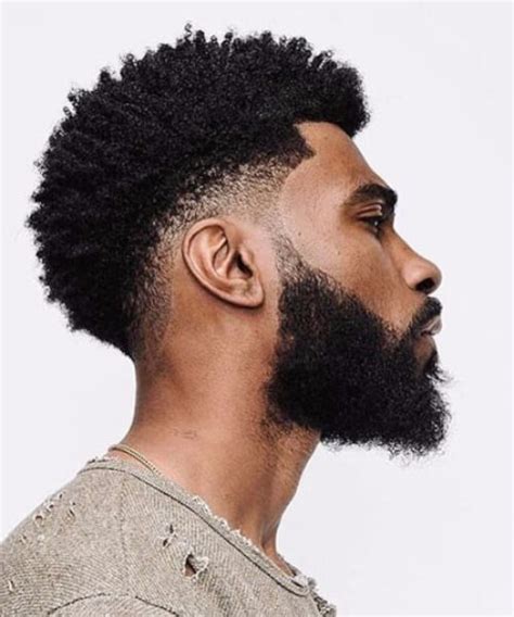 Black Men Hairstyles Curly Natural Undercut Beard