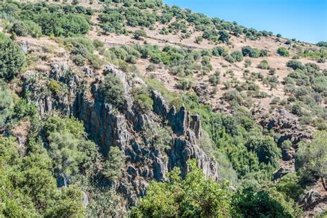 Premium Photo Rocks In Sardinian Forest