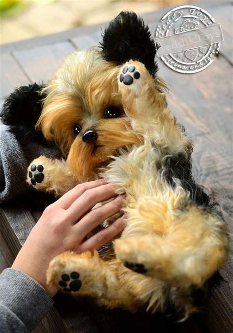 Puppy Yorkshire Terrier Stuffed Dog Realistic Stuffed Dog Pet Portrait
