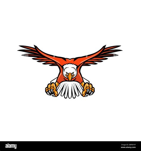 Mascot Icon Illustration Of A Bald Eagle Sea Eagle Or American Eagle