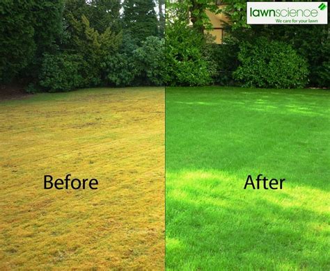 How to prepare a lawn for overseeding. How to Take Care of Your Lawn - pH Testing, Aeration & Overseeding - Redeem Your Ground ...