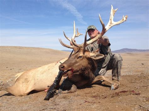 california tule elk hunting