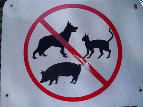 Fileno Animals Sign Wikimedia Commons