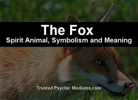 The Fox Spirit Animal A Complete Guide To Meaning And Symbolism