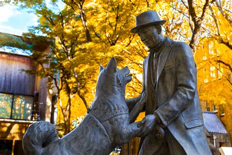 Hachiko The Story Behind Japans Most Loyal Akita Mad Paws