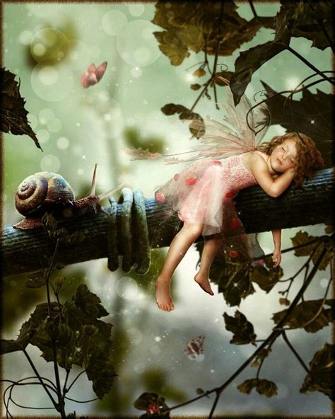 Fairy Sleep Fairy Magic Fairy Angel Fairy Dust Fairy Land Fairy