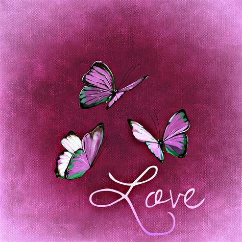 Download Butterflies Flying Love Royalty Free Stock Illustration