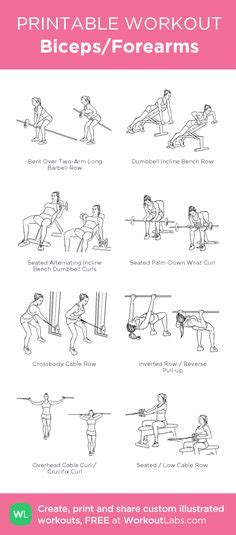 Forearm Workouts 6 Best Exercises For Mass Openfit Forearm