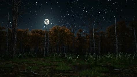 Big Full Moon In Starry Sky Above Scary Mystical Autumn Forest With