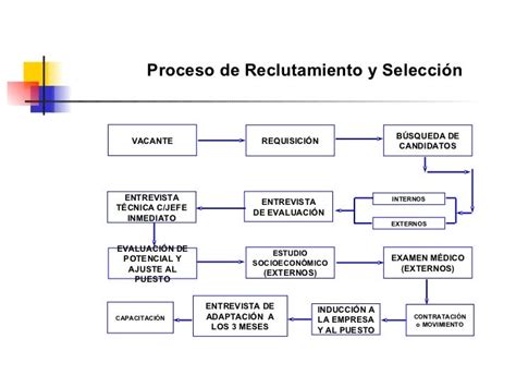 Proceso De Reclutamiento Y Seleccion Para Laagencia Reclutador Work Images