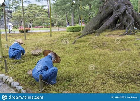 Japanese Gardener Stock Image Image Of Wood Scenery 144242165