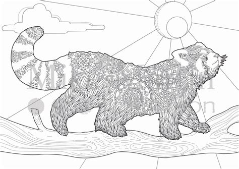 Mother red panda with her cute baby. Red Panda Coloring Page - Coloring Home