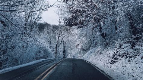 Download Wallpaper 1920x1080 Winter Road Marking Trees Snow Full Hd
