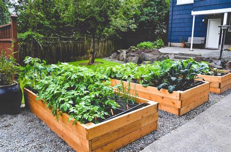 Your container vegetable garden may look incomplete if you don't grow some herbs. 5 Vegetable Garden Ideas for Your Home - Omar Gardens Blog