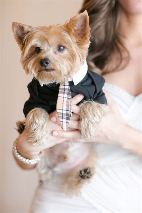 30 games to play at a bridal shower. Paris-Themed Bridal Shower BridalGuide