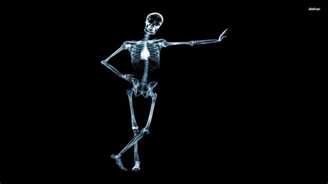 Skeleton Images 3d Wallpaper Skeleton Wallpapers Top Free Skeleton