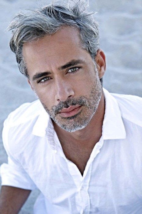 Pin By Vincent On Gorgeous In 2019 Grey Hair Men Grey Beards Bearded Men