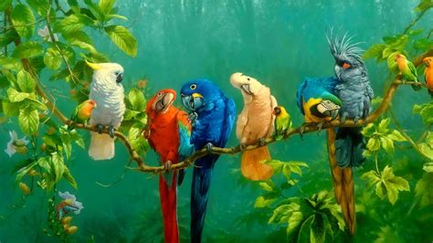parrot colorful birds on branch red yellow blue white macaw parrot wallpaper hd 1920x1080