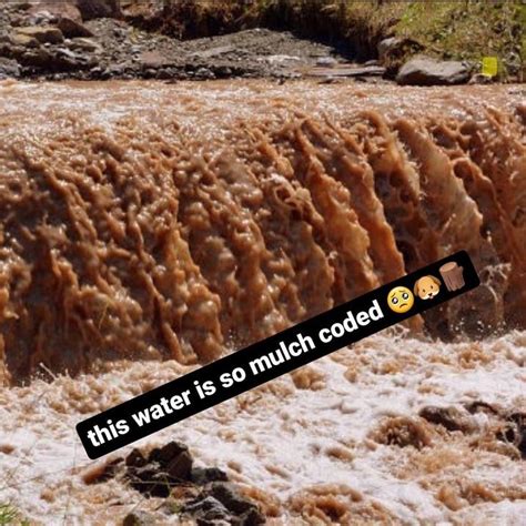 This Water Is Mulch Coded Mulch Gang For Life Know Your Meme