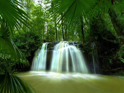 Noosa Hinterland Waterfall Queensland Australia Natur