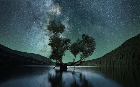 Download Wallpaper 1440x900 Starry Sky Tree Lake Night Widescreen 16