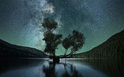 Sky Starry Tree Night Lake Background Widescreen