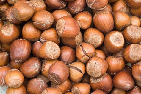 Can You Eat Raw Hazelnuts Healthfully