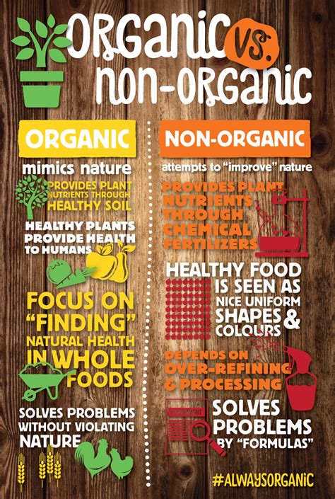 Juicing Organic Vs Conventional My Organic Food Ideas
