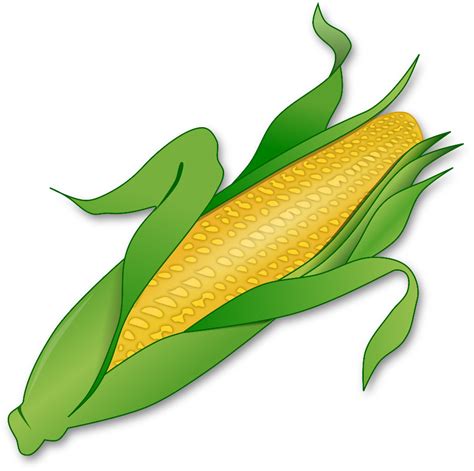 Download High Quality Corn Clipart Transparent Transparent Png Images