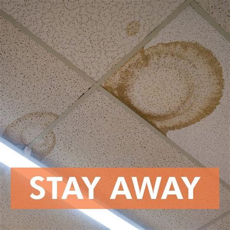 Acoustical ceiling tiles are made of porous materials, so they readily absorb moisture and dirt. Ceiling tiles that are often used in #offices and #schools ...