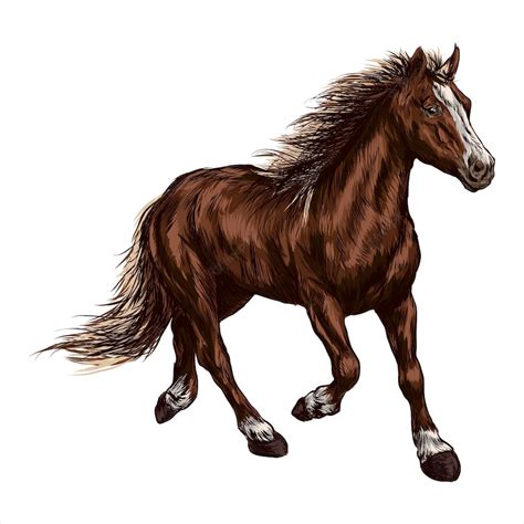 Premium Vector Brown Horse Running In A Field Horse Racing Or