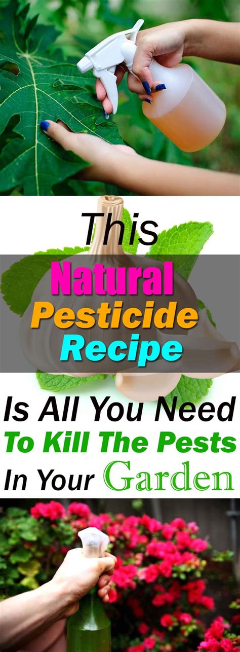 This Amazing Natural Pesticide Recipe Is So Effective You Can Get Rid