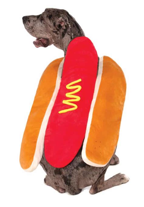 Hot Dog Ketchup Mustard Human And Dog Costume Combo Pet Costume Center