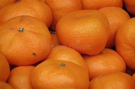 Mandarin Fruits Stock Photo Image Of Mandarin Cuisine 127420248