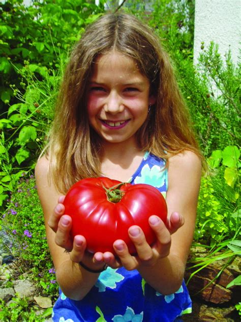 Best Tomatoes To Grow For Farmers Markets Homestead Hustle