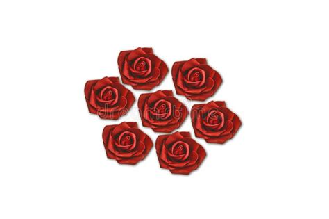 Red Roses Flowers Isolated On White Background Stock Photo Image Of