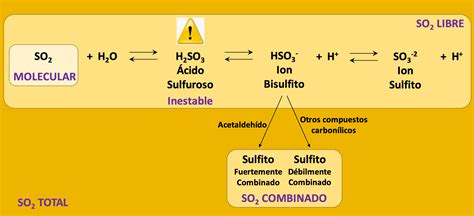 Química Del Dióxido De Azufre En El Vino Web Oficial Tdi