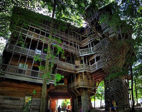 17 Of The Most Amazing Tree Houses In The World