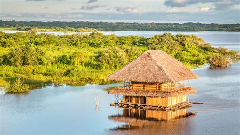 Iquitos 2021 Los 10 Mejores Tours Y Actividades Con Fotos Cosas
