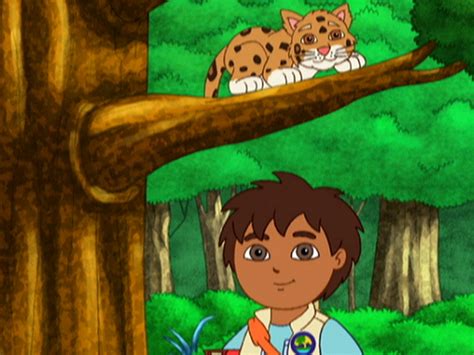 Diego and alicia team up to rescue some baby dinosaurs and have a fun adventure while doing it! Prime Video: Go, Diego, Go! - Season 1